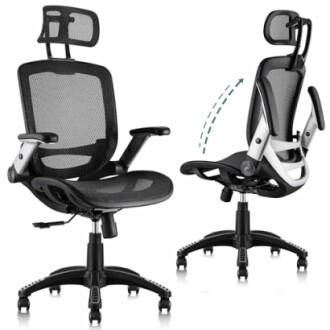 GABRYLLY Ergonomic Office Chair