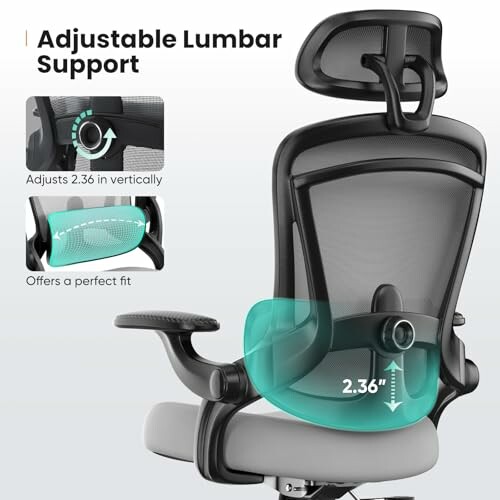 Ergonomic office chair with adjustable lumbar support and headrest.