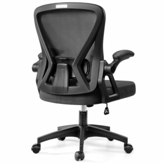 Ergonomic office chair with mesh back and adjustable armrests
