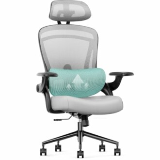 Ergonomic office chair with mesh back and adjustable headrest.
