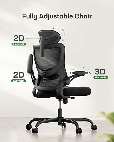 Black fully adjustable office chair with 2D headrest, lumbar support, and 3D armrests.