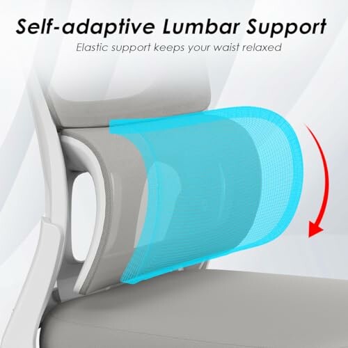 Office chair with self-adaptive lumbar support feature.