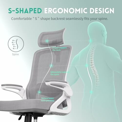 Ergonomic office chair with S-shaped backrest design for spine support.